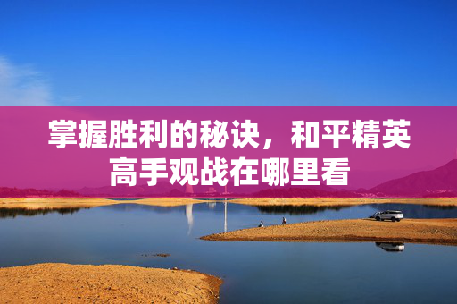 掌握胜利的秘诀，和平精英高手观战在哪里看