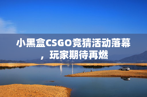小黑盒CSGO竞猜活动落幕，玩家期待再燃