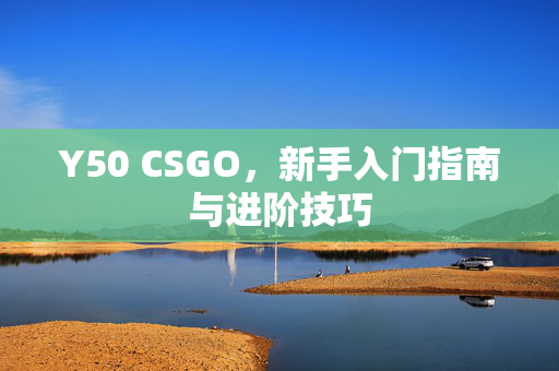 Y50 CSGO，新手入门指南与进阶技巧