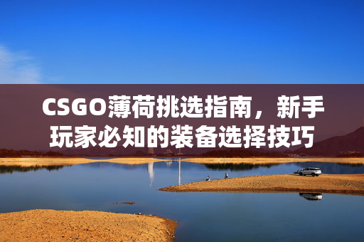 CSGO薄荷挑选指南，新手玩家必知的装备选择技巧