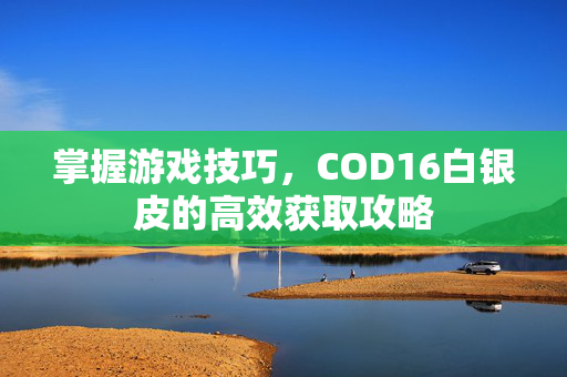 掌握游戏技巧，COD16白银皮的高效获取攻略