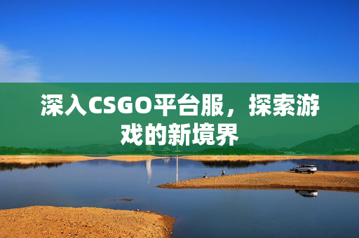 深入CSGO平台服，探索游戏的新境界
