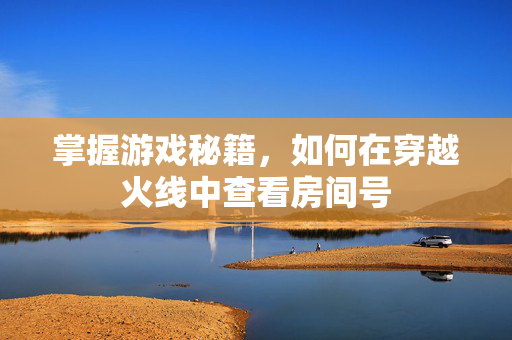 掌握游戏秘籍，如何在穿越火线中查看房间号