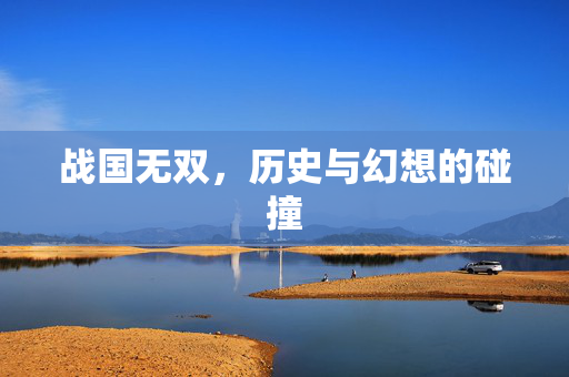战国无双，历史与幻想的碰撞