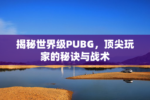 揭秘世界级PUBG，顶尖玩家的秘诀与战术