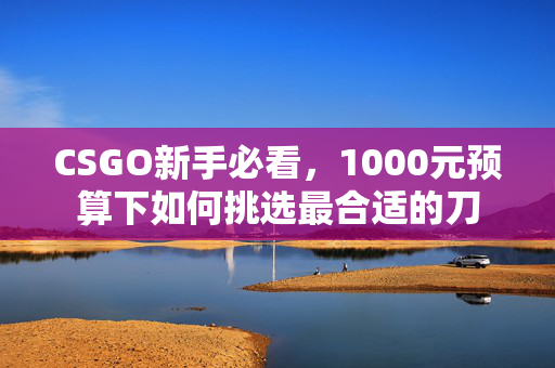 CSGO新手必看，1000元预算下如何挑选最合适的刀-第1张图片-SK游戏资讯网