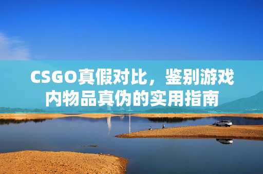 CSGO真假对比，鉴别游戏内物品真伪的实用指南