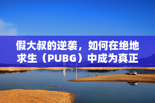 假大叔的逆袭，如何在绝地求生（PUBG）中成为真正的生存高手