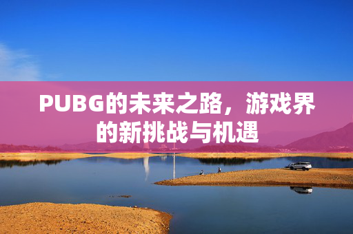 PUBG的未来之路，游戏界的新挑战与机遇