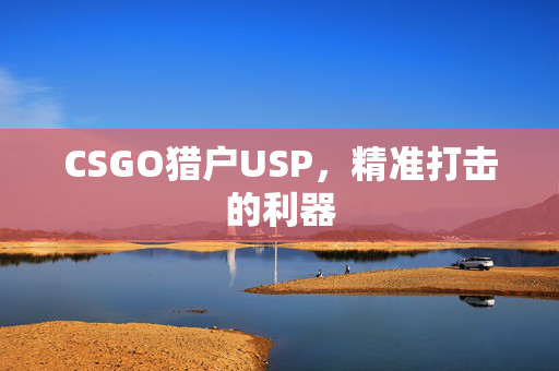 CSGO猎户USP，精准打击的利器