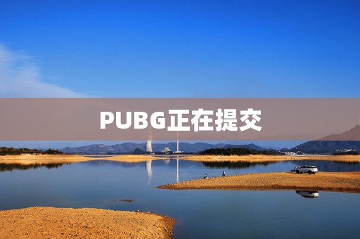PUBG正在提交