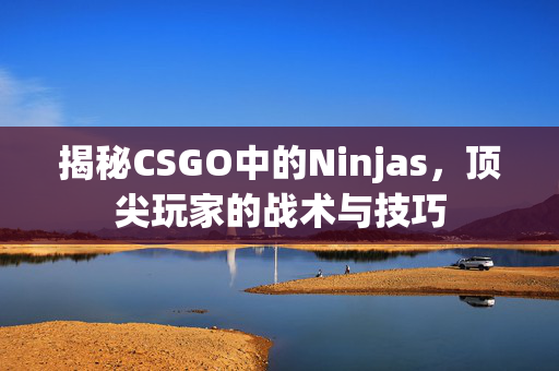 揭秘CSGO中的Ninjas，顶尖玩家的战术与技巧