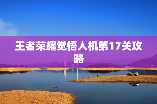 王者荣耀觉悟人机第17关攻略