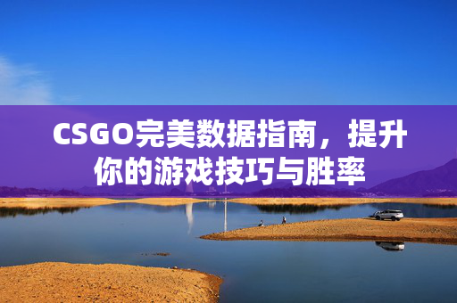CSGO完美数据指南，提升你的游戏技巧与胜率