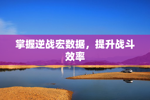 掌握逆战宏数据，提升战斗效率