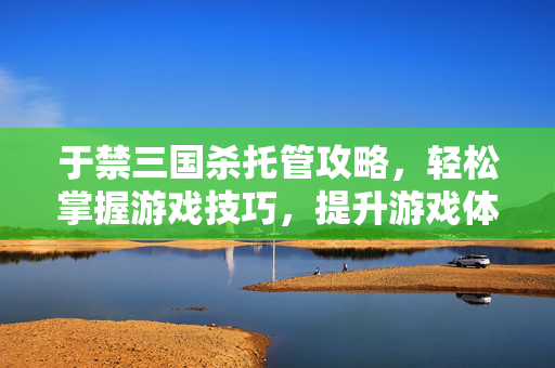 于禁三国杀托管攻略，轻松掌握游戏技巧，提升游戏体验