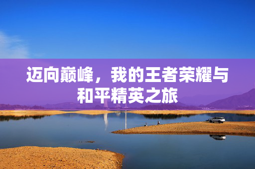 迈向巅峰，我的王者荣耀与和平精英之旅