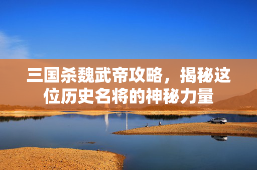三国杀魏武帝攻略，揭秘这位历史名将的神秘力量