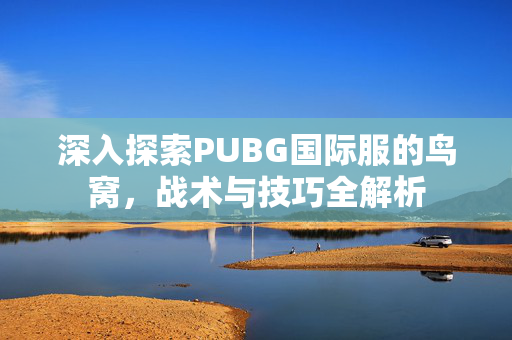 深入探索PUBG国际服的鸟窝，战术与技巧全解析
