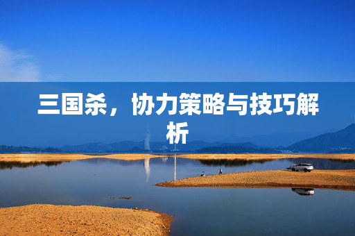 三国杀，协力策略与技巧解析