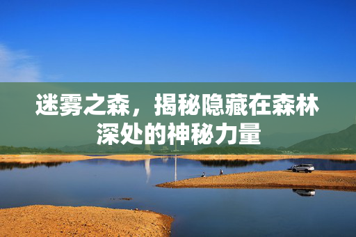 迷雾之森，揭秘隐藏在森林深处的神秘力量