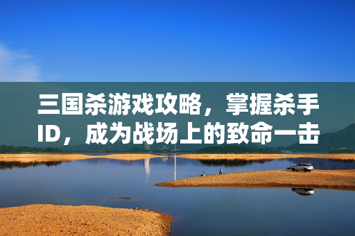 三国杀游戏攻略，掌握杀手ID，成为战场上的致命一击！