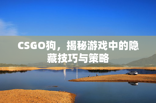 CSGO狗，揭秘游戏中的隐藏技巧与策略