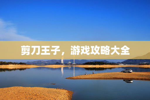 剪刀王子，游戏攻略大全