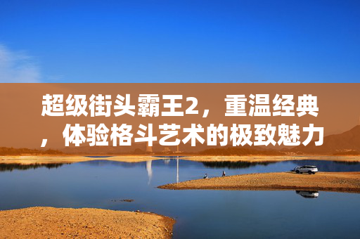 超级街头霸王2，重温经典，体验格斗艺术的极致魅力