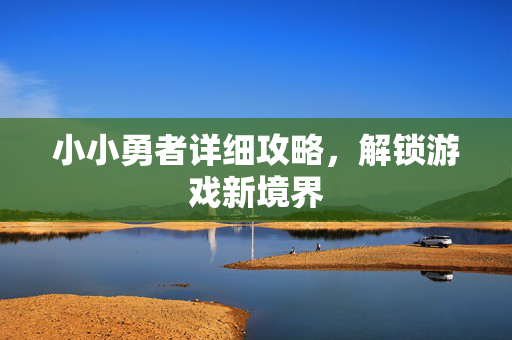 小小勇者详细攻略，解锁游戏新境界