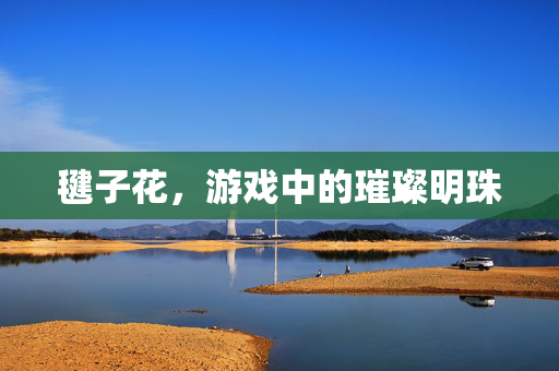 毽子花，游戏中的璀璨明珠