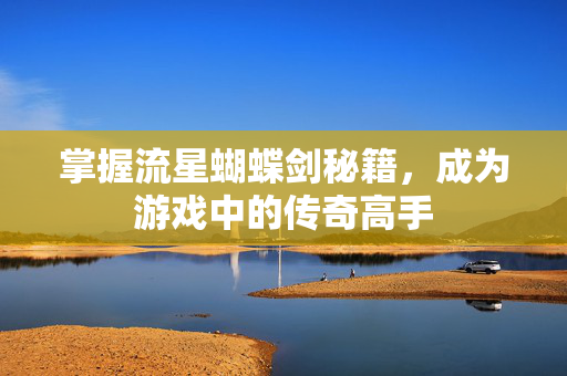 掌握流星蝴蝶剑秘籍，成为游戏中的传奇高手