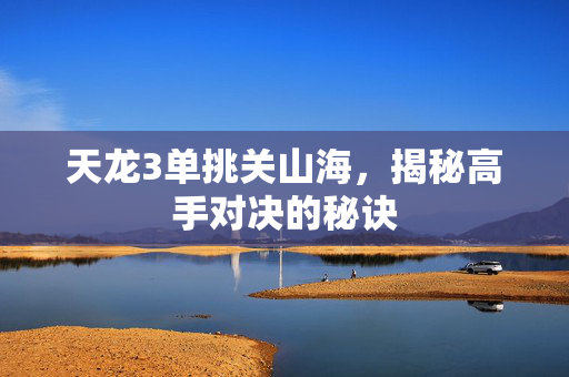天龙3单挑关山海，揭秘高手对决的秘诀