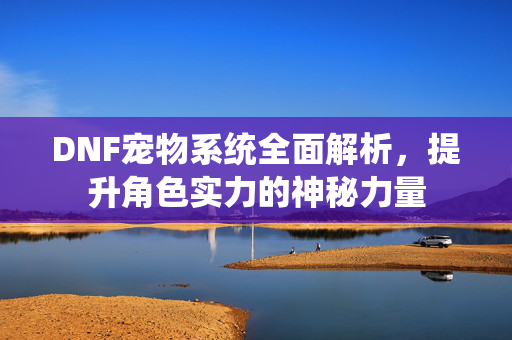 DNF宠物系统全面解析，提升角色实力的神秘力量