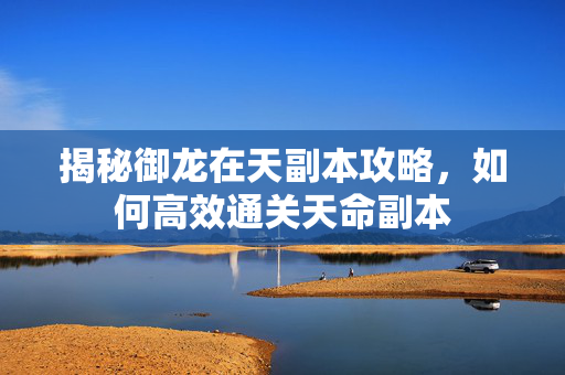 揭秘御龙在天副本攻略，如何高效通关天命副本