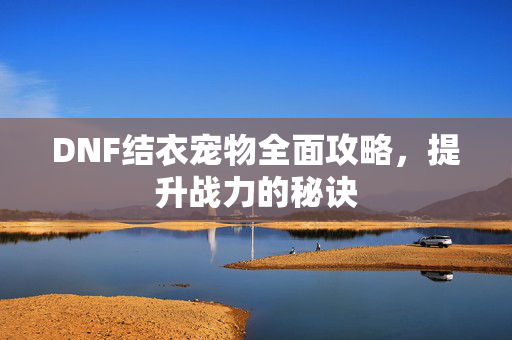 DNF结衣宠物全面攻略，提升战力的秘诀