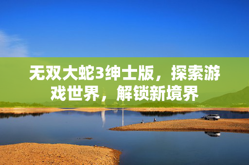 无双大蛇3绅士版，探索游戏世界，解锁新境界