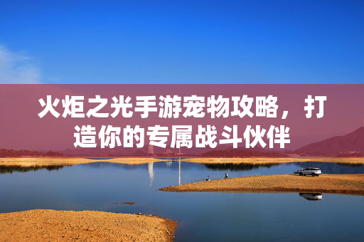 火炬之光手游宠物攻略，打造你的专属战斗伙伴