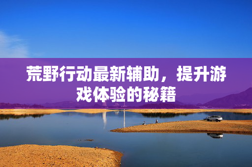 荒野行动最新辅助，提升游戏体验的秘籍