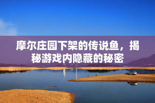 摩尔庄园下架的传说鱼，揭秘游戏内隐藏的秘密