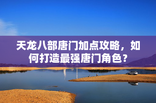 天龙八部唐门加点攻略，如何打造最强唐门角色？