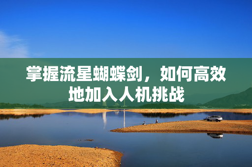 掌握流星蝴蝶剑，如何高效地加入人机挑战