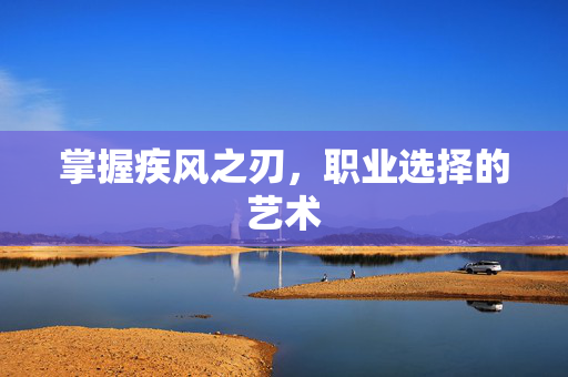 掌握疾风之刃，职业选择的艺术