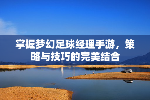 掌握梦幻足球经理手游，策略与技巧的完美结合