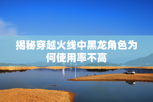 揭秘穿越火线中黑龙角色为何使用率不高