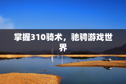 掌握310骑术，驰骋游戏世界