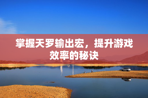 掌握天罗输出宏，提升游戏效率的秘诀