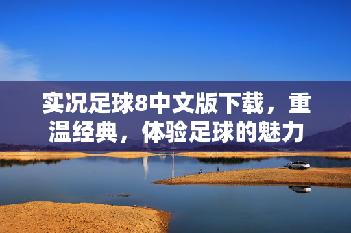 实况足球8中文版下载，重温经典，体验足球的魅力