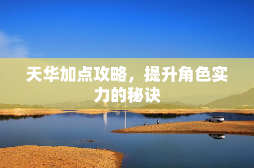 天华加点攻略，提升角色实力的秘诀