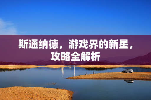 斯通纳德，游戏界的新星，攻略全解析